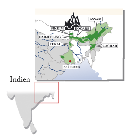 Indien - Darjeeling