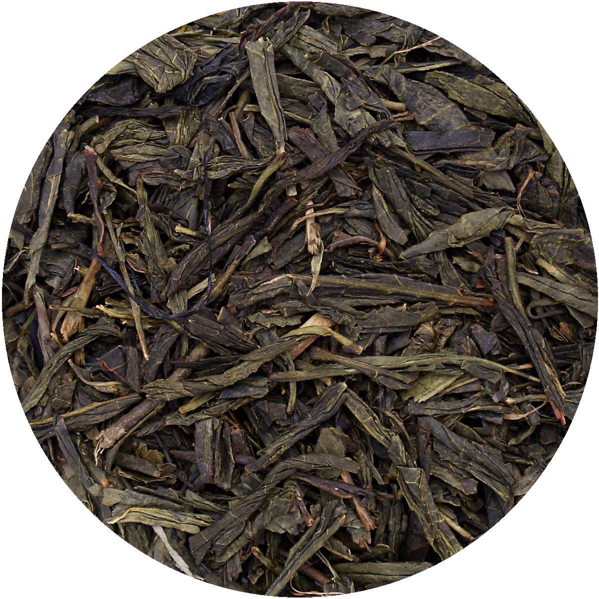 SENCHA VANILLE