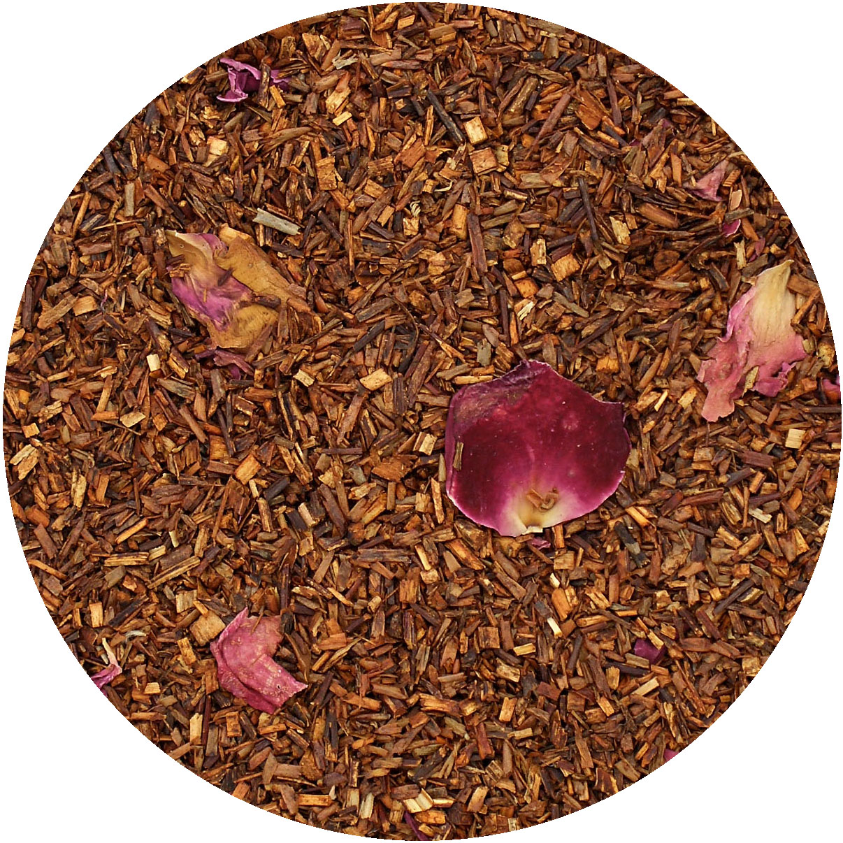 ROOITEA FRIESENROSE