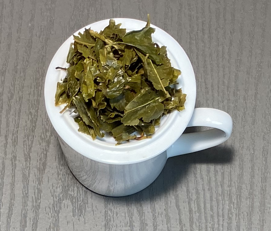 SENCHA VANILLE